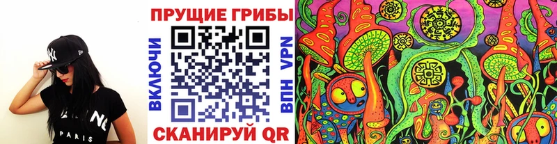 дарнет шоп  Жуков  Галлюциногенные грибы Psilocybine cubensis 